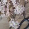 How to Make and Display Dried Cherry Blossoms | Dried Flower DIY