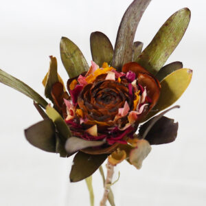 ICHIRIN Fragrance-#01